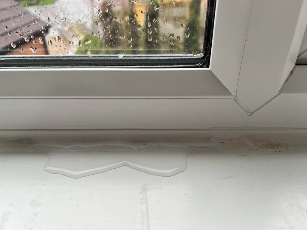 Window Leaking Repair Services